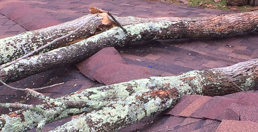 Roofing & Waterproofing Services in Cleveland, TX.